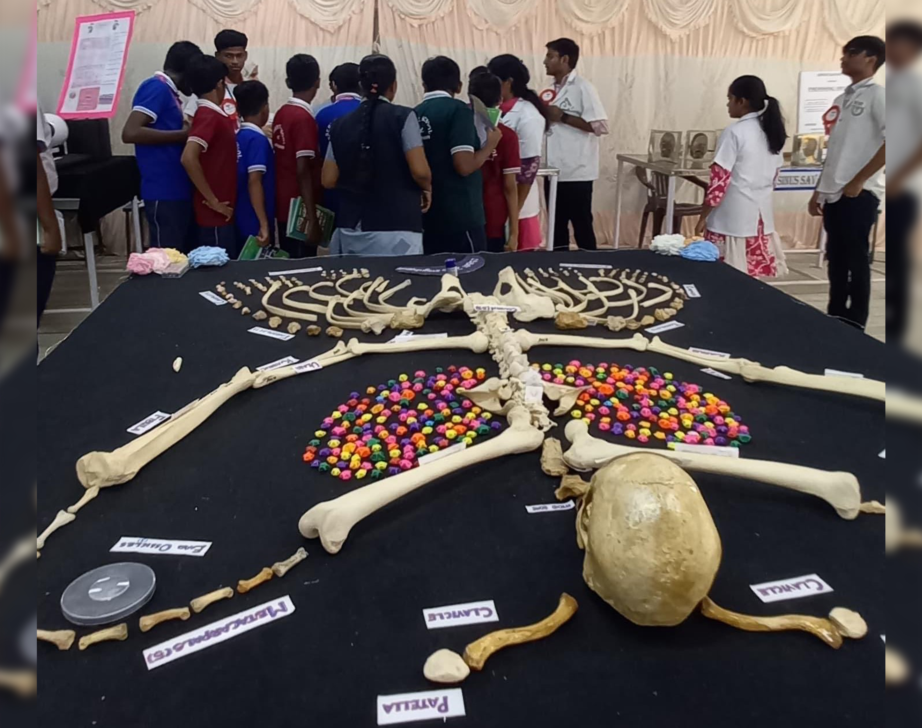 project-slider-image