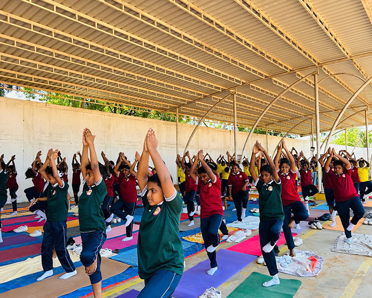 project-slider-image